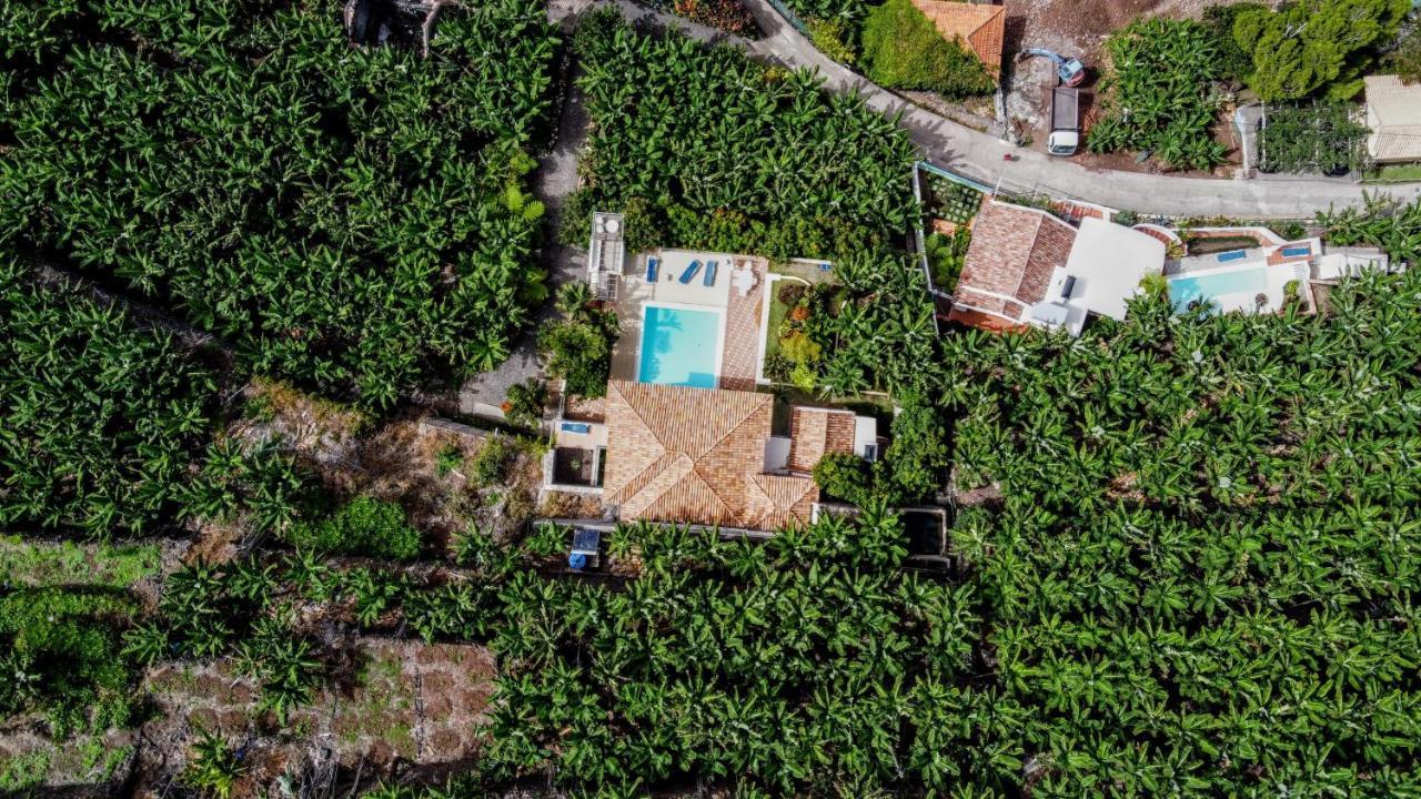 Ourmadeira - Villa Do Mar Iv, Secluded Calheta  Eksteriør bilde